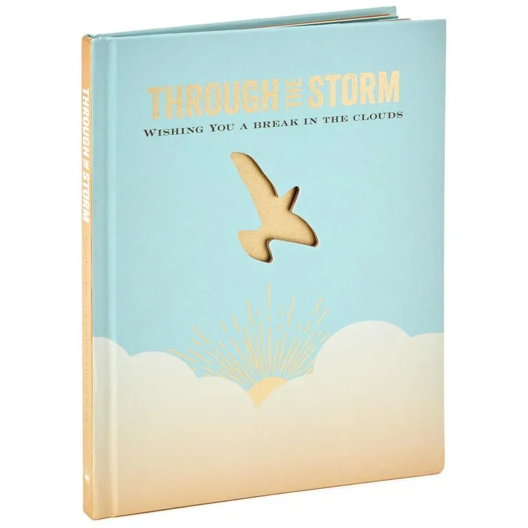 Hallmark Through The Storm: Wishing You A Break In The Clouds Book 3 Hallmark Through The Storm: Wishing You A Break In The Clouds Book