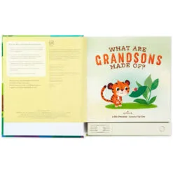 Hallmark What Are Grandsons Made Of? Recordable Storybook -Hallmark Shop What Are Grandsons Made Of Recordable Storybook 1KOB1230 03